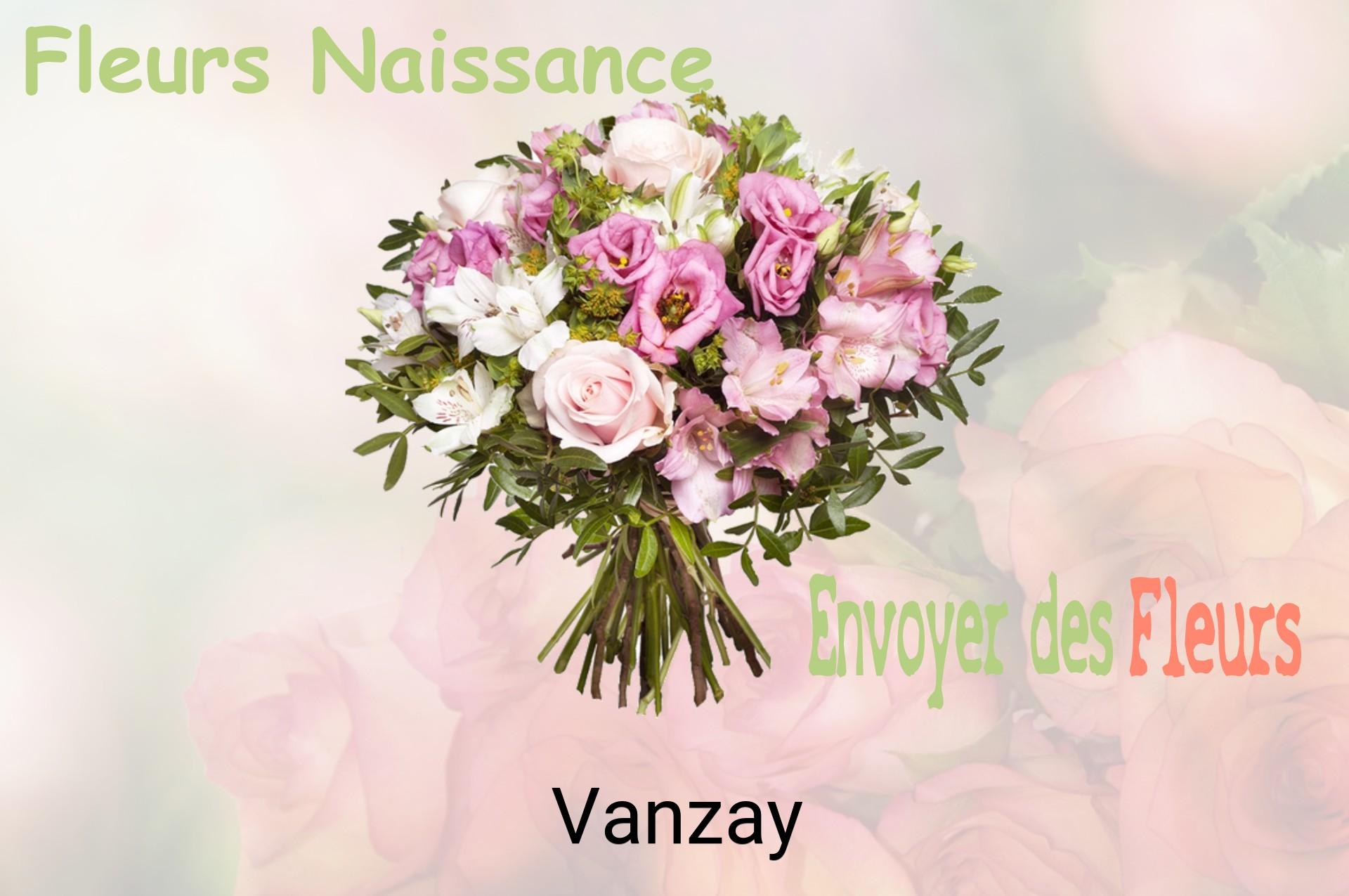 Bouquet de fleurs de naissance livré à Vanzay